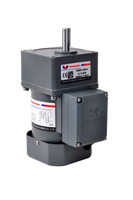 AC 6-250W 220V محرك مدمج موجه لحزام النقل